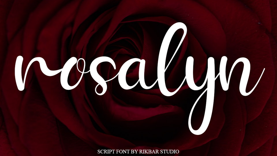 

Rosalyn: An Exquisite Handwritten Script Font