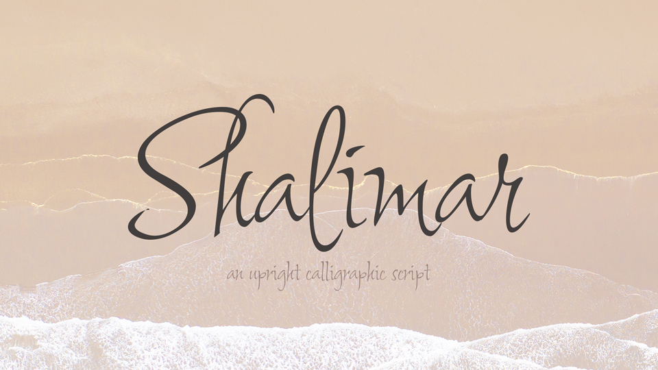 Elegant Shalimar Font: Inspired by Calligraphic Strokes of a Flat Nib Pen