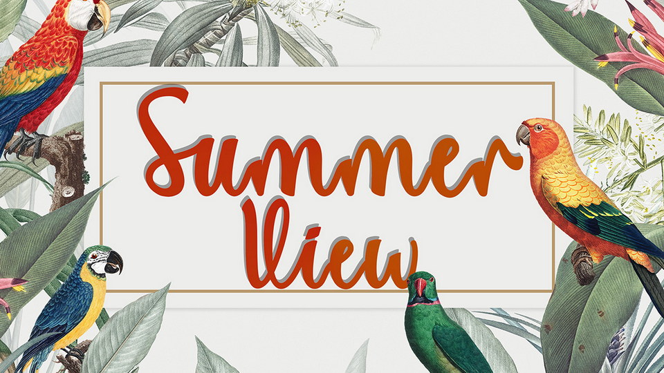 

Summer View: A Modern Handwritten Script Font Perfect for Any Occasion