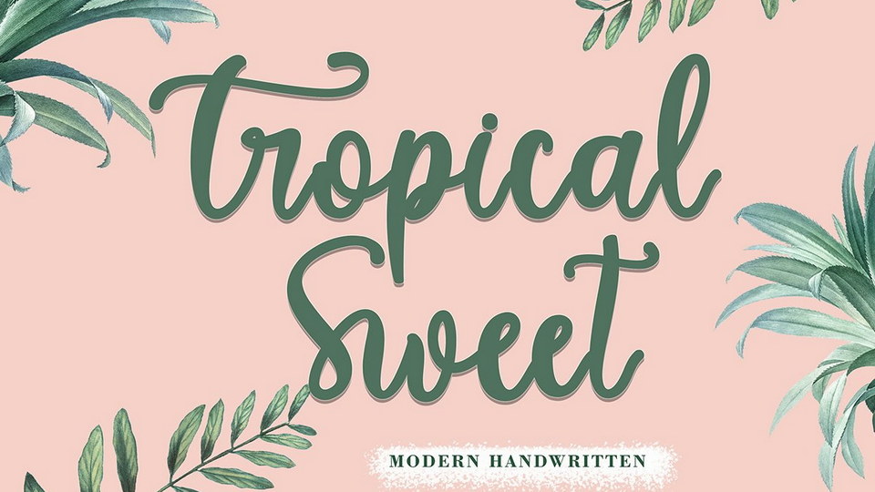 

Tropical Sweet: A Modern Calligraphy Font Perfect for Any Project