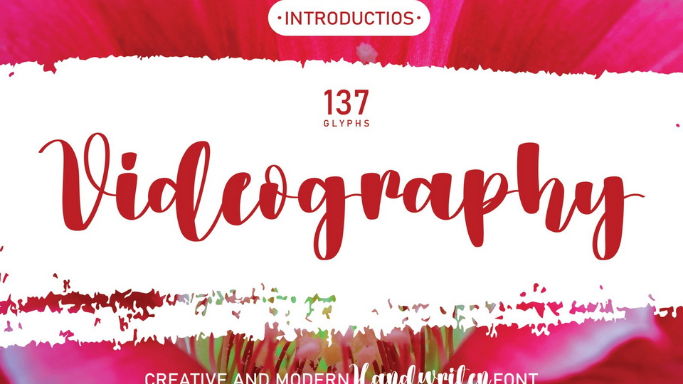 Videography: Delightful Brush Font for Creative Projects