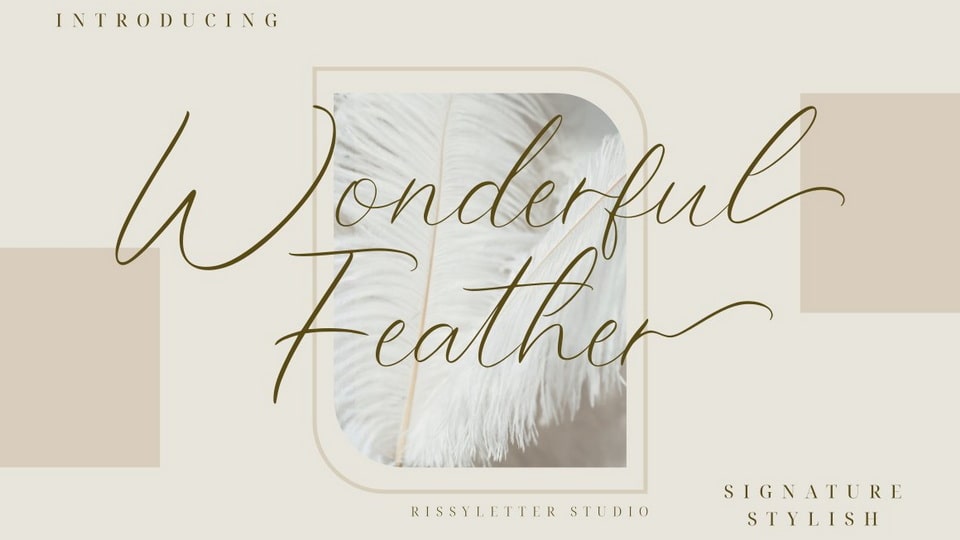 wonderful_feather.jpg