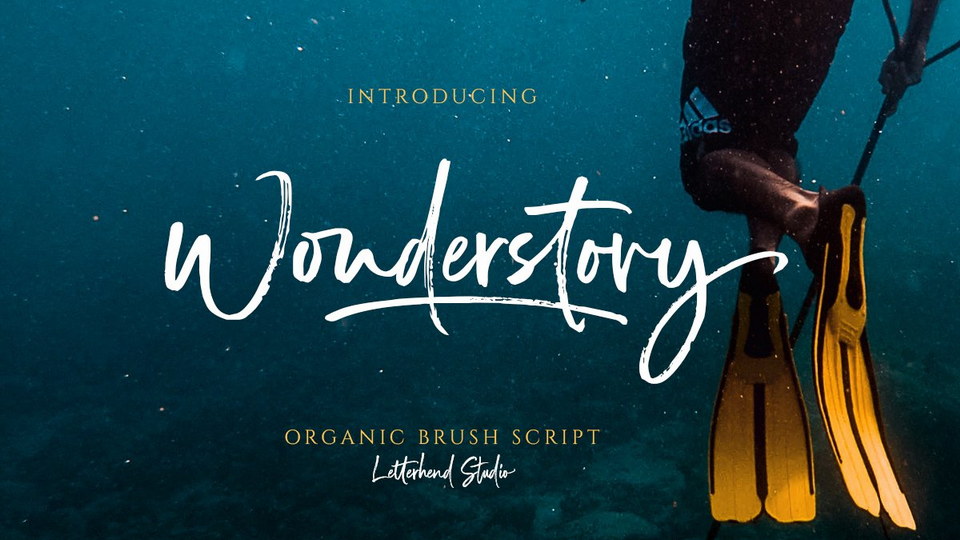 

Let Wonderstory Work Its Magic: An Organic Brush Script Font