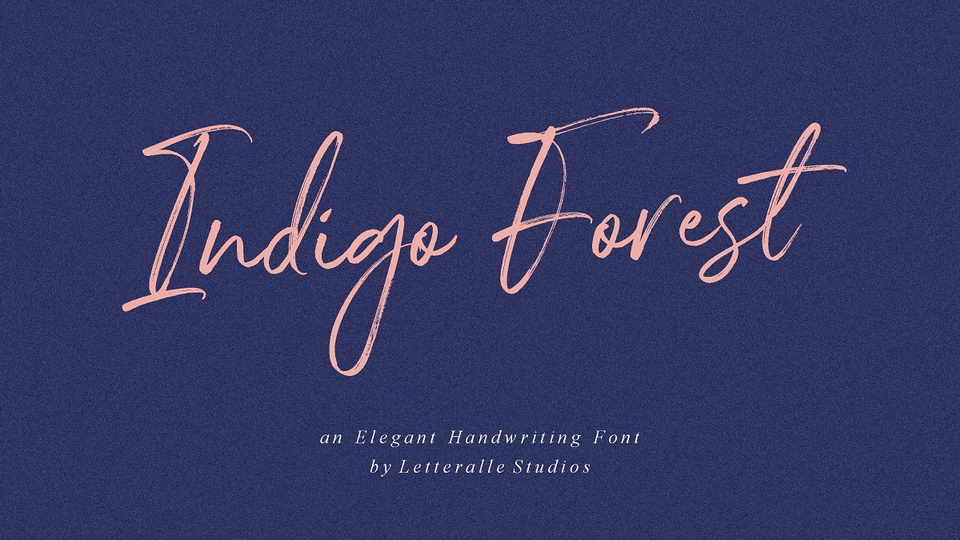 

Indigo Forest: A Uniquely Charming and Casual Brush Font
