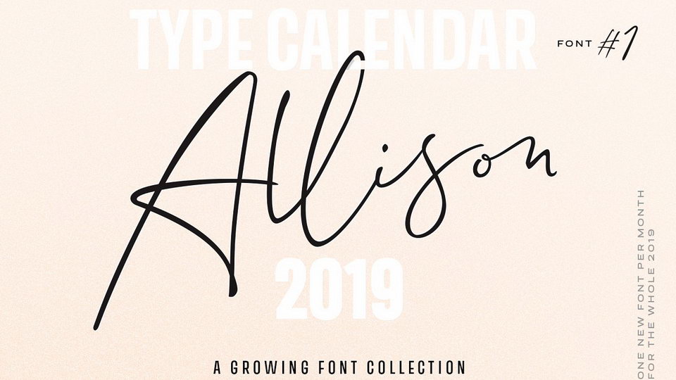 

Allison: A Versatile and Elegant Hand Drawn Script Font