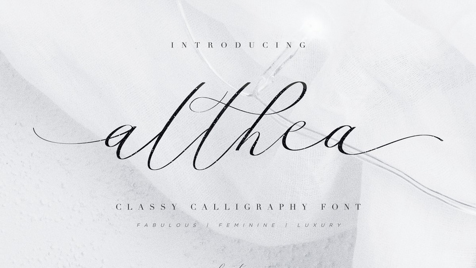 

Althea Script: A Luxurious and Magnificent Calligraphy Font