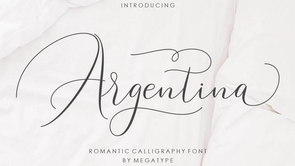  

Argentina Script: A Romantic and Elegant Calligraphy Font