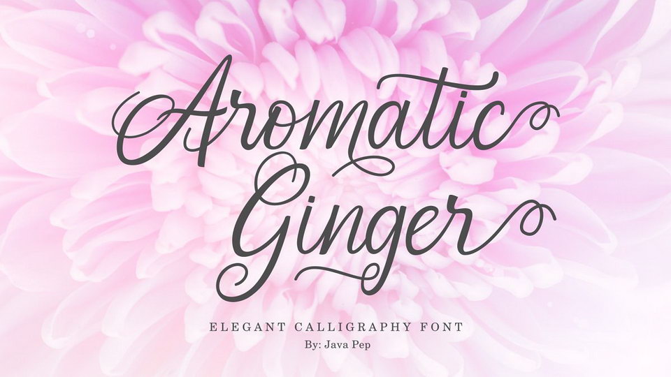 

Aromatic Ginger: A Stunning Calligraphy Font