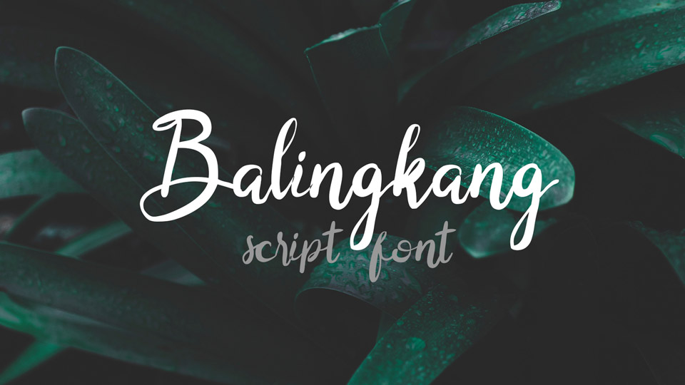  

Balingkang: An Elegant and Natural Handwritten Font