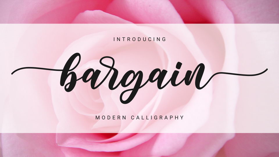 

Bargain: A Modern Calligraphy Script for Any Design Need