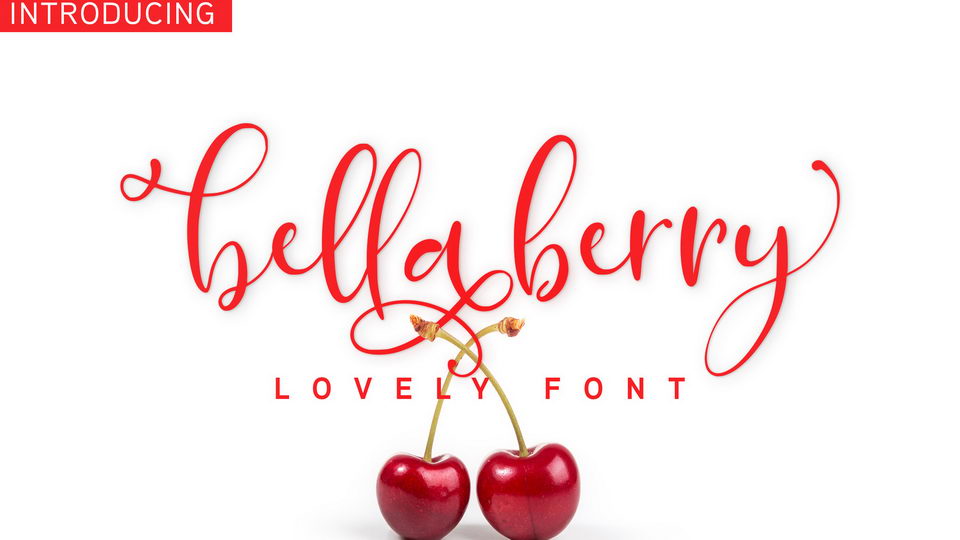 

BellaBerry: A Stunning Modern Calligraphy Script Font to Make Any Project Shine