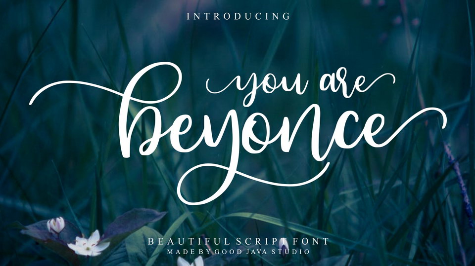 

Beyonce: A Beautiful Handwritten Font With a Natural and Smooth Flow