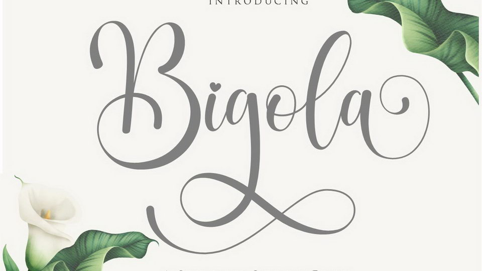 

Bigola: An Amazing and Stunning Calligraphy Font for Your Design Projects