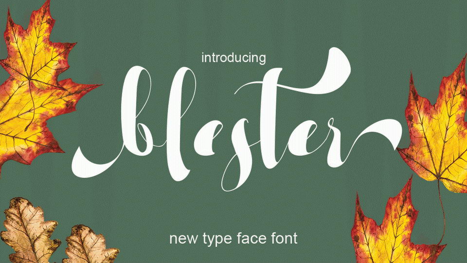 Blester Script - a modern calligraphy font with flowing style.