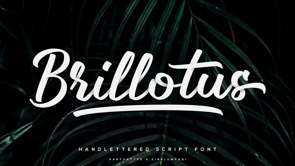 

Brillotus: A Standout Font with a Unique Look