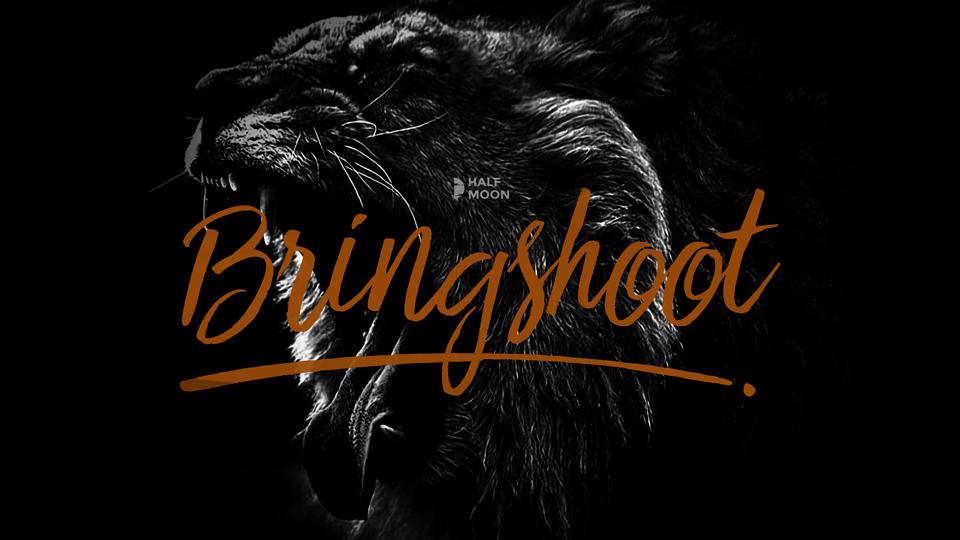 

Bringshoot - An Eye-Catching, Hand Lettered Script Font for Any Design Project