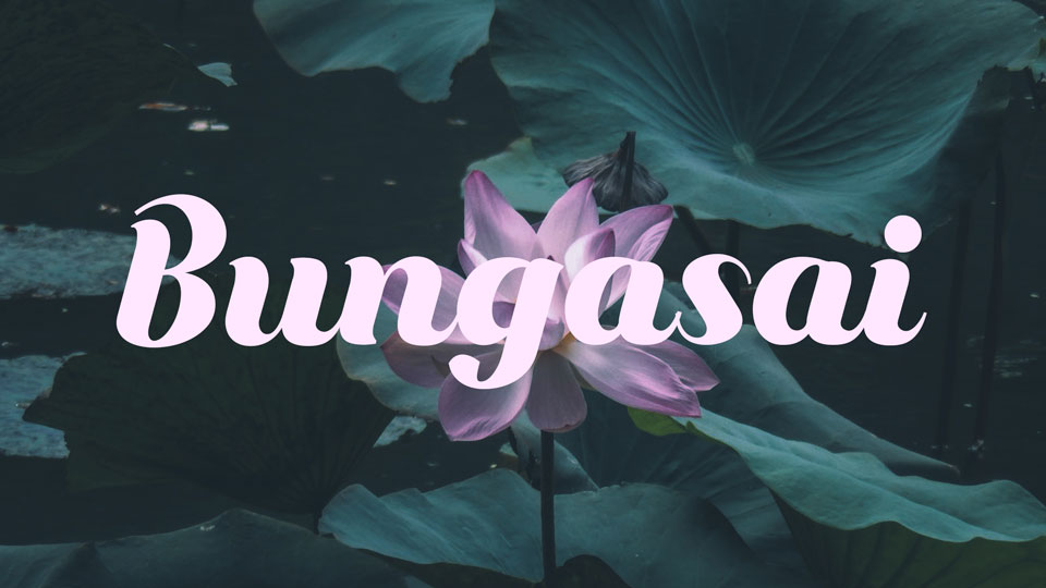 
Bungasai: A Free Elegant Script Font