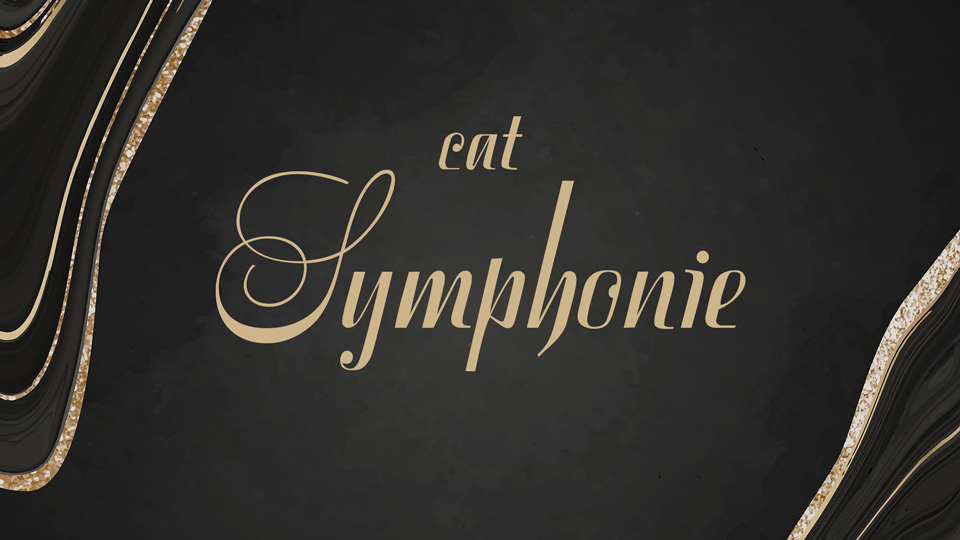 

Symphony: A Beautiful Script Typeface Designed in 1938