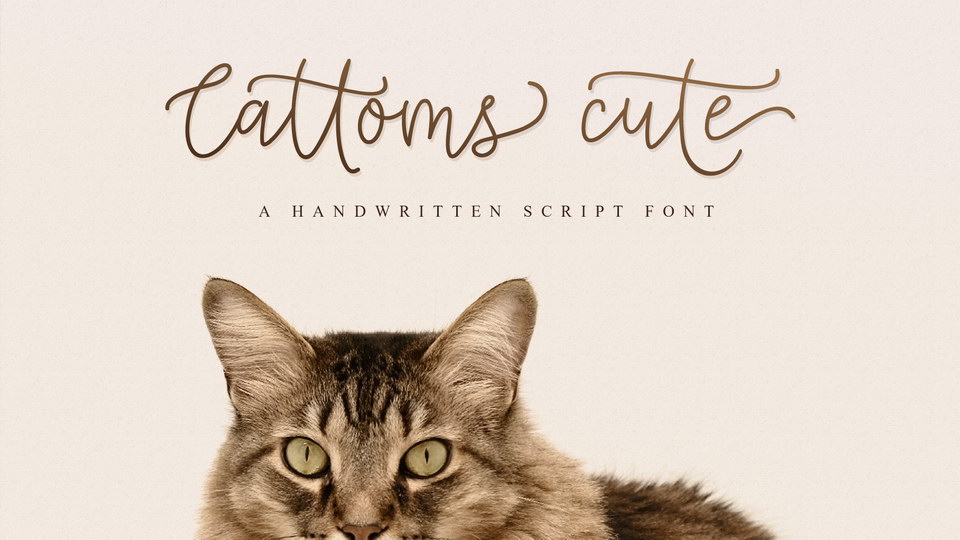 

Cattoms Cute: An Innovative and Beautiful Font for Quick and Easy Hand-Lettering