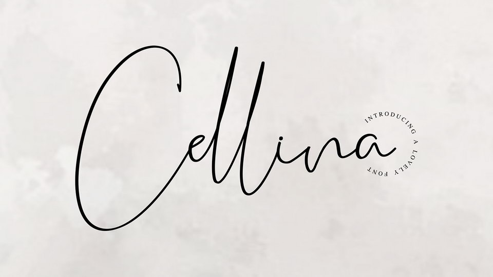 

Cellina Font: A One-of-a-Kind Typeface that is Both Modern and Beautiful