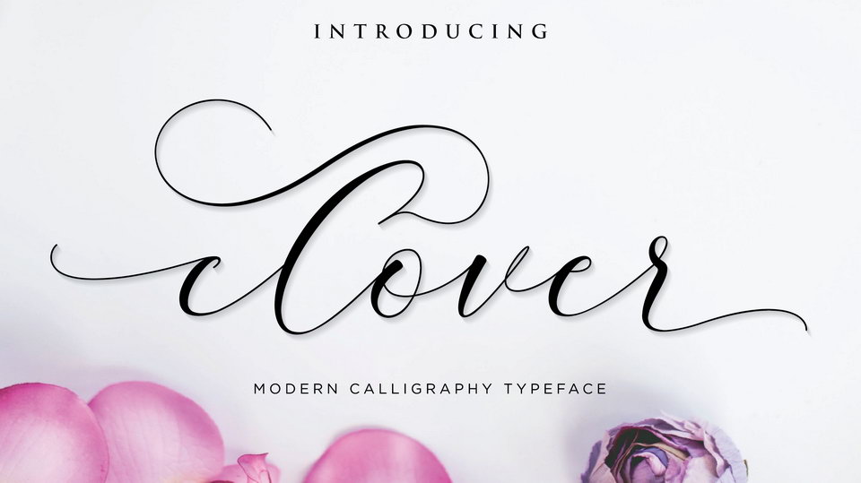 

Clover Font: A Beautiful Modern Calligraphy Script for Every Design