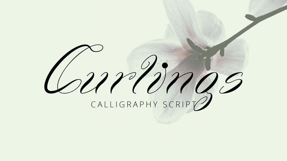

Curlings Font is Truly Unique and Has a Timeless Beauty