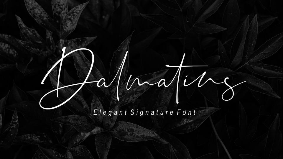 

Dalmatins: An Elegant and Versatile Typeface for Any Project