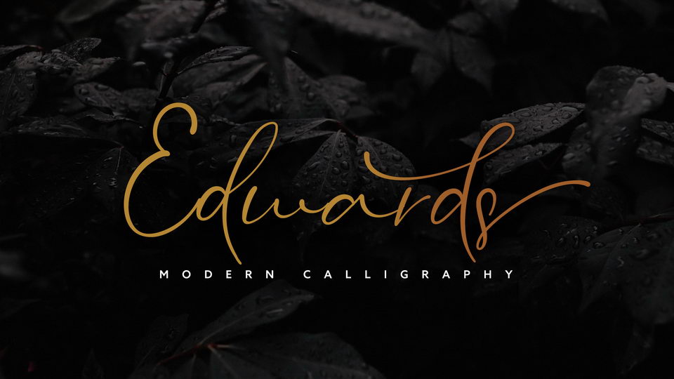 

Edwards: A Modern, Stylish Calligraphy Font with a Casual Chic Flair
