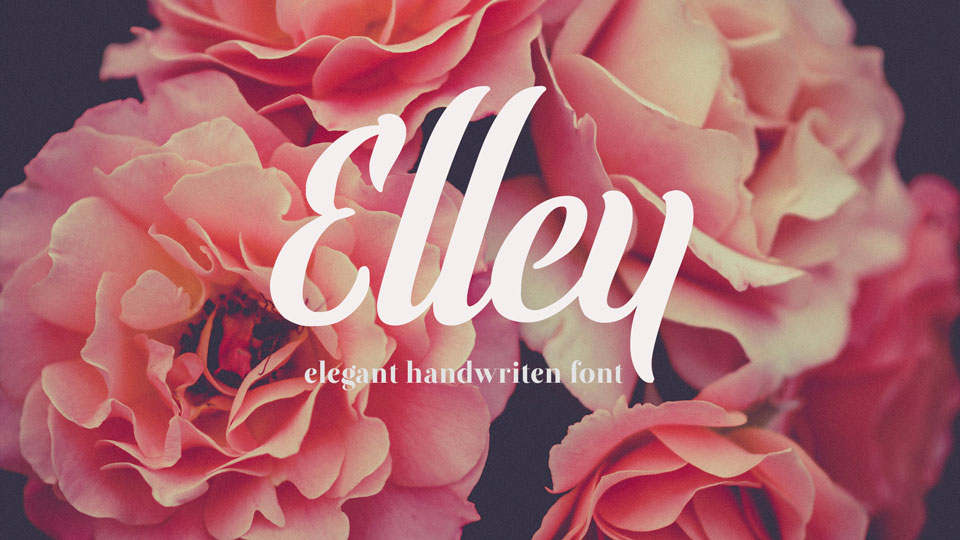 

Elley: A Stunning Typeface that Exudes Elegance and Sophistication
