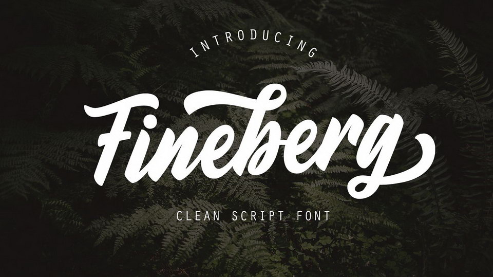

Fineberg: A Versatile, Soft Hand Lettered Script Font