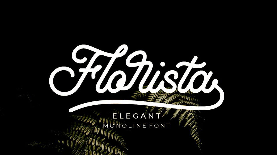 

Florista: An Elegant Monoline Vintage Font for Any Design Project