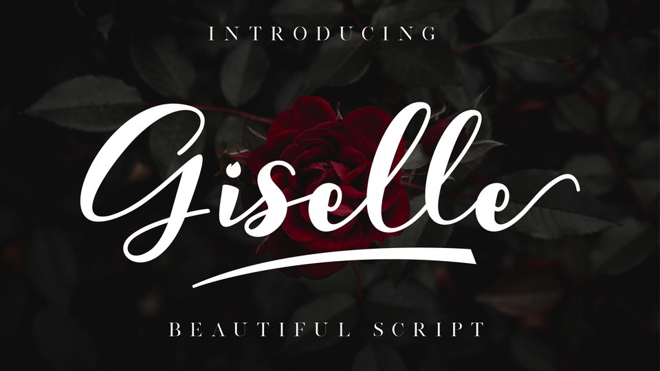 

Giselle Font: A Modern Calligraphy Script Font with Personality