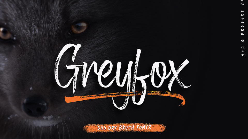 

Greyfox: A Stunning Font with a Unique Dry Brush Stroke Style