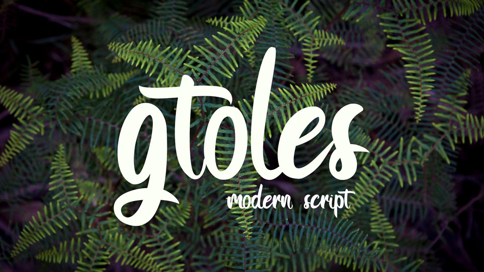 

Gtoles: An Amazing Hand Lettered Brush Script Font Perfect for Any Creative Project