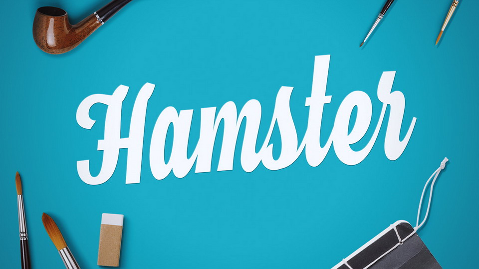 

Hamster Script: A Beautiful Handmade Font Perfect for Any Design Project