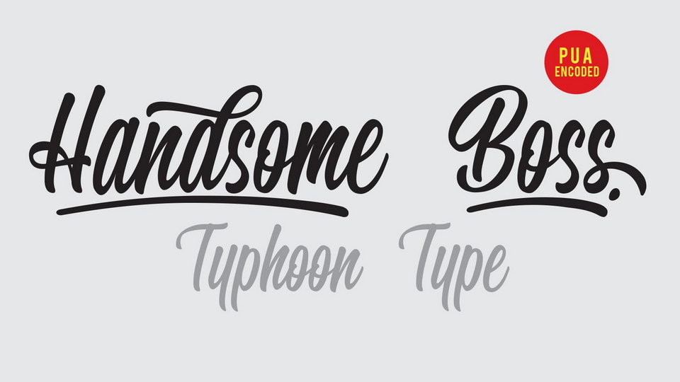  

Handsome Boss Font: The Ideal Choice for Making a Lasting Impression