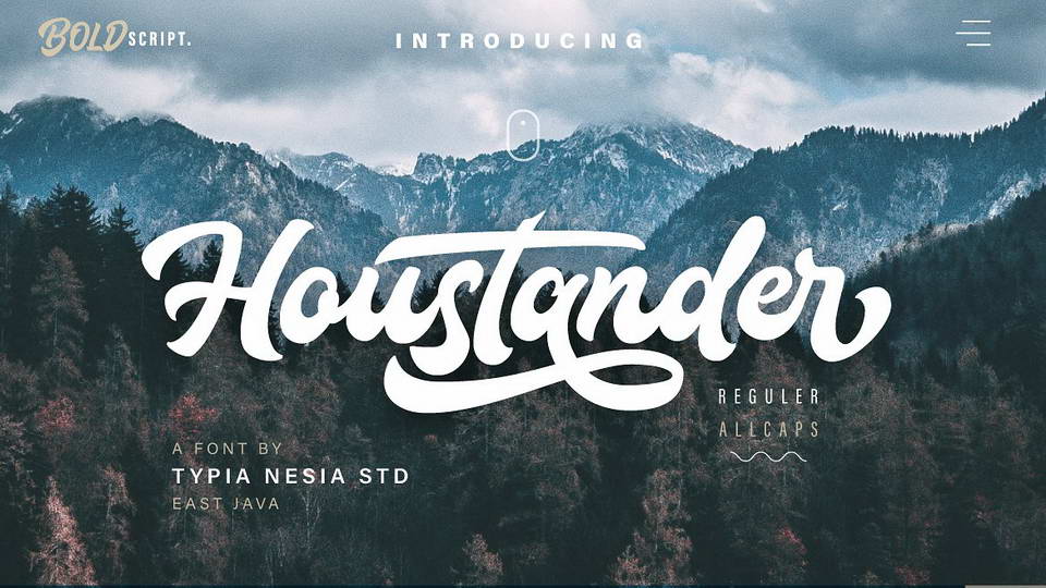 
Houstander: An Excellent Vintage Script Font for Modern Hand Lettering Logo or Headline