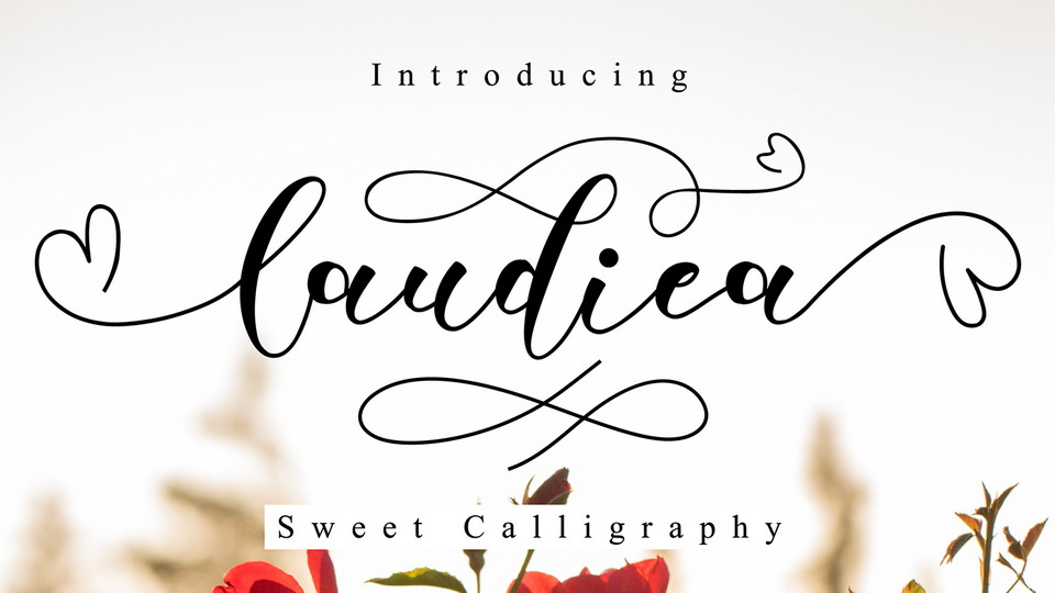 

Exploring the Versatility of the Laudiea Font