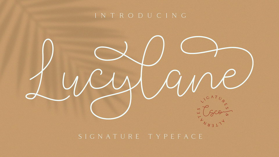 

Lucylane: Unleash Your Creativity with a Modern Monoline Typeface