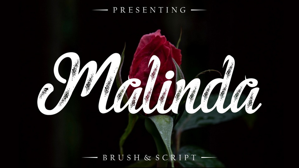 
Malinda: A Textured Modern Calligraphy Brush Script Font