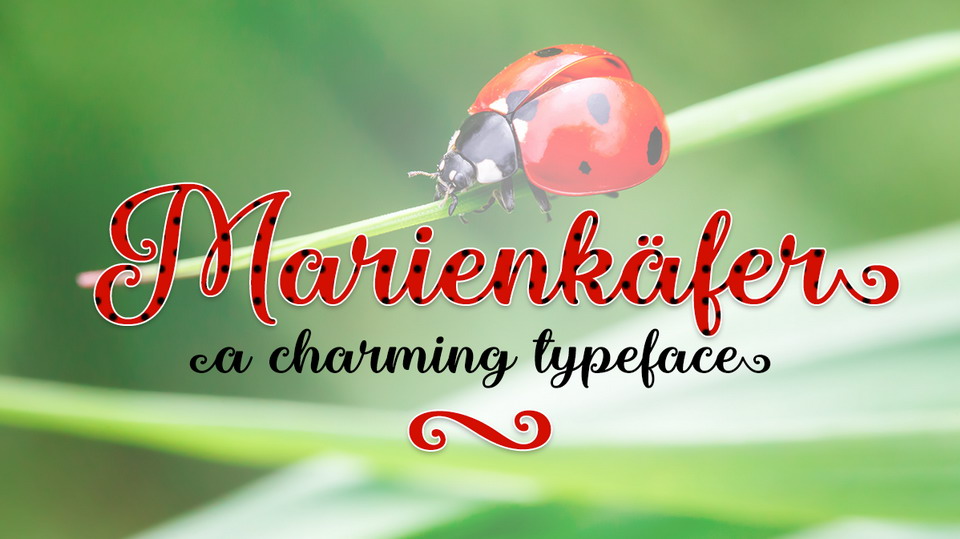  

Marienkaefer: A Highly Versatile Typeface to Add a Touch of Elegance and Sophistication to Any Project