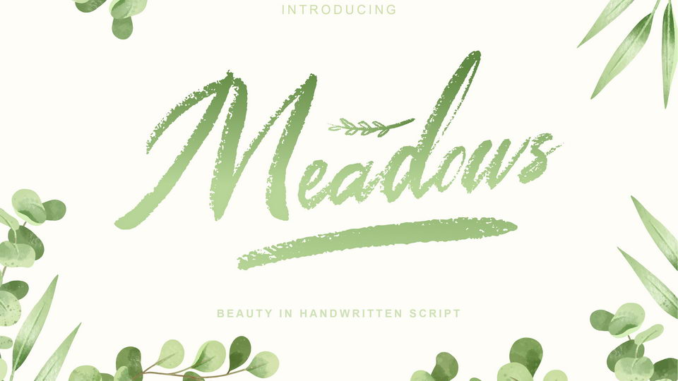 

Meadows: A Timelessly Beautiful Hand-Lettered Script Font