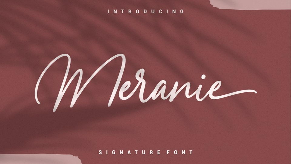 

Meranie: A Modern Script Font with Elegant Swashes and Unique Ligatures