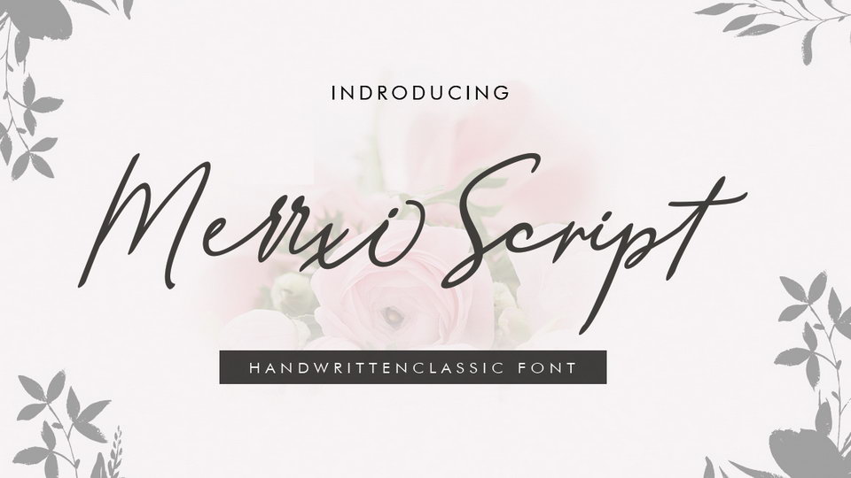 

Explore the Captivating Signature Style of Merrxi Script