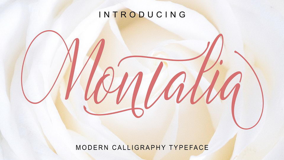 

Montalia Script: An Elegant and Stylish Modern Calligraphy Script