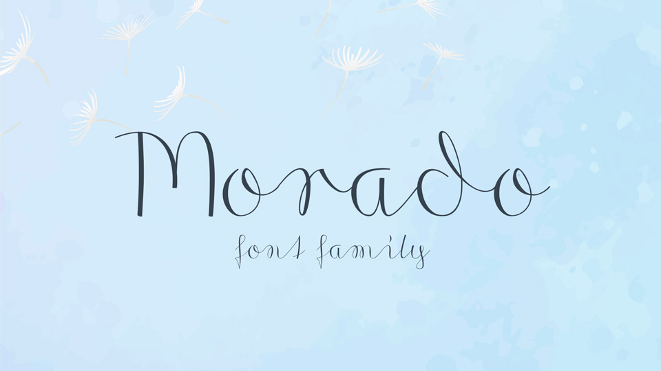

Morado: A Handwritten Font Family with 4 Unique Styles