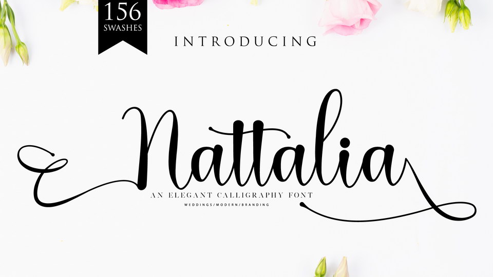 

Nattalia: An Exquisite Script Font for Designing Logos, Branding, and More