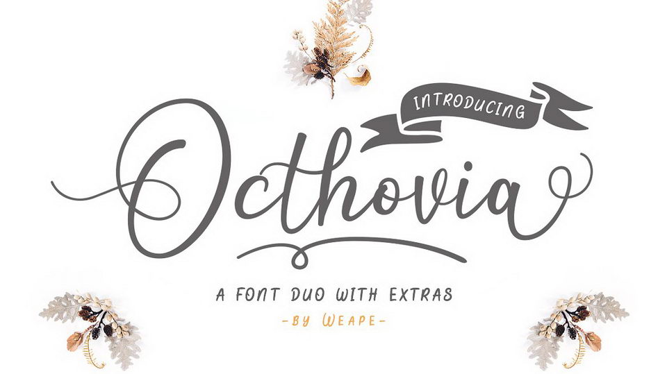 
Octhovia: Beautiful Modern Calligraphy Script for Your Daily and Project Needs