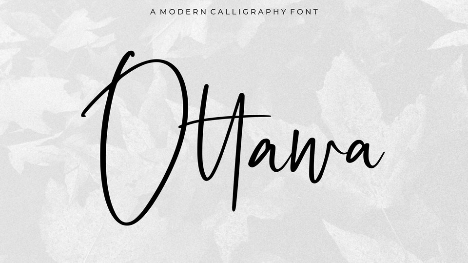 

Ottawa: A Stunning Modern Calligraphy Script