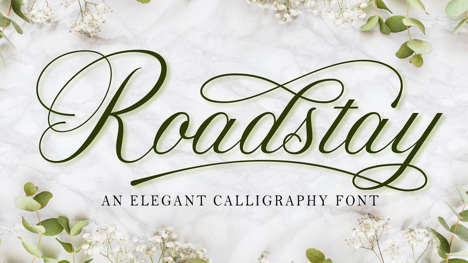 

Roadstay: An Incredibly Beautiful and Elegant Calligraphy Font